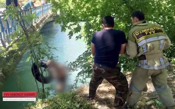Toshkentda ehtiyotsizlik oqibatida kanalga tushib ketgan fuqaro qutqarildi