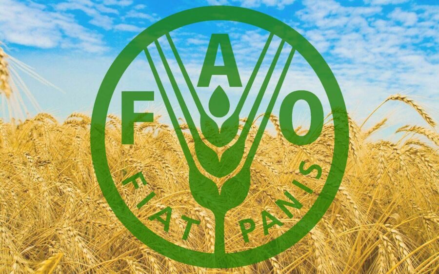 fao.jpg