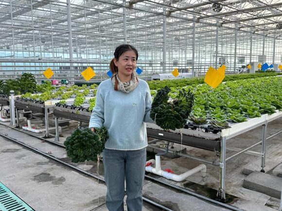 press-tur_chanczi_agro4