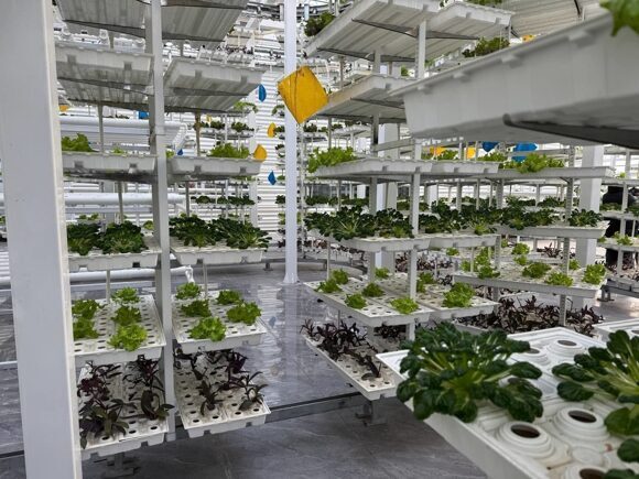 press-tur_chanczi_agro5