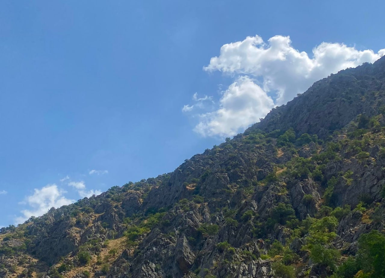 Foto: Muhsin Umurzoqov / «Xalq so‘zi»