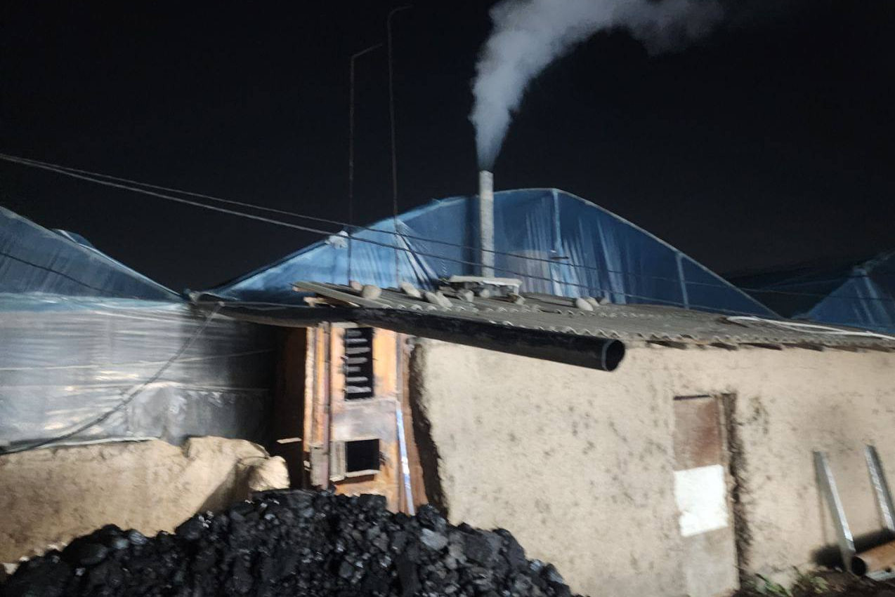 Воздух в Ташкенте главным образом загрязняют теплицы — хокимият