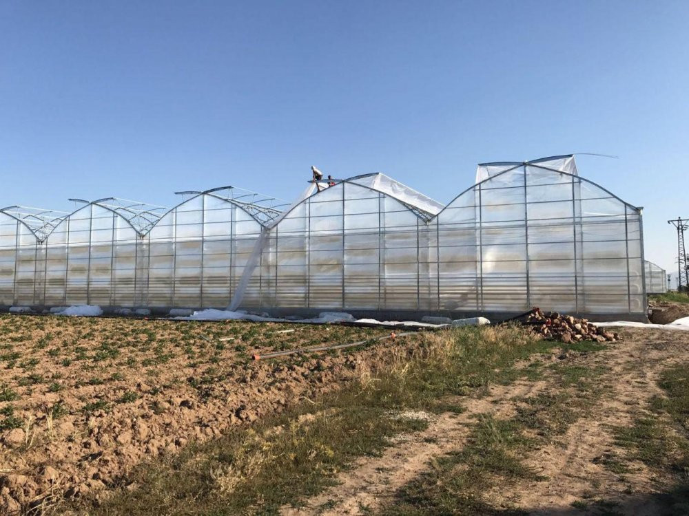 Теплицы Узбекистана должны быть переведены на газ
