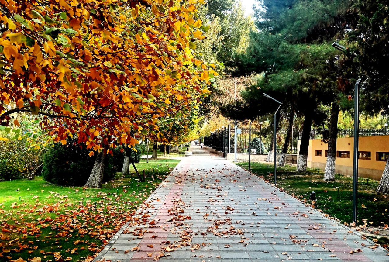 Foto: Otabek Saidahmadov/“Xalq soʻzi”