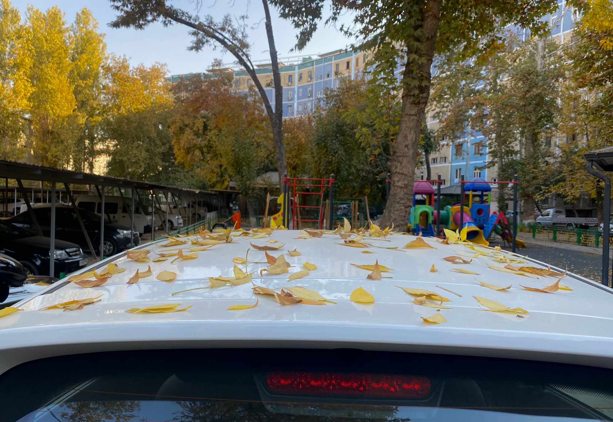 Foto: Muhsin Umurzoqov / “Xalq soʻzi”