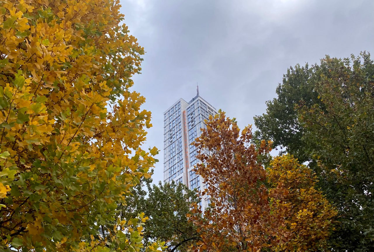 Foto: Muhsin Umurzoqov/“Xalq soʻzi”