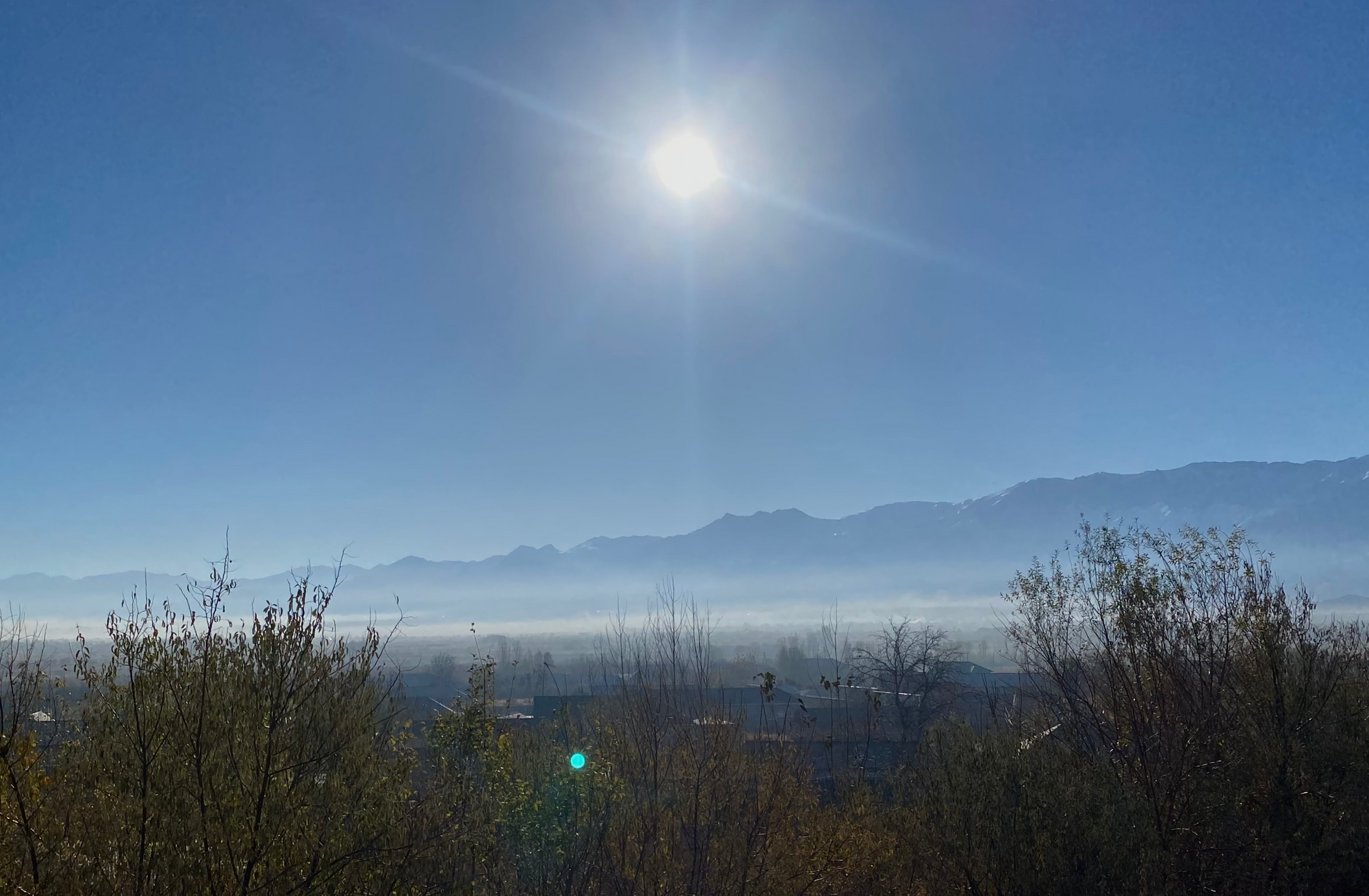 Foto: Muhsin Umurzoqov / “Xalq soʻzi”