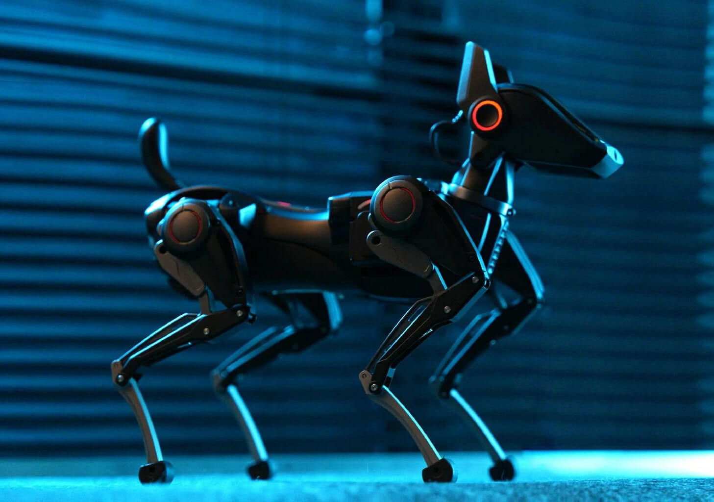 Чунцин: робопес Сириус и низковысотная экономика