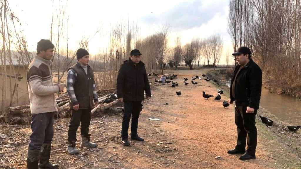 Andijonda suv havzalari atrofida yerdan samarali foydalanish tajribasi kengaymoqda