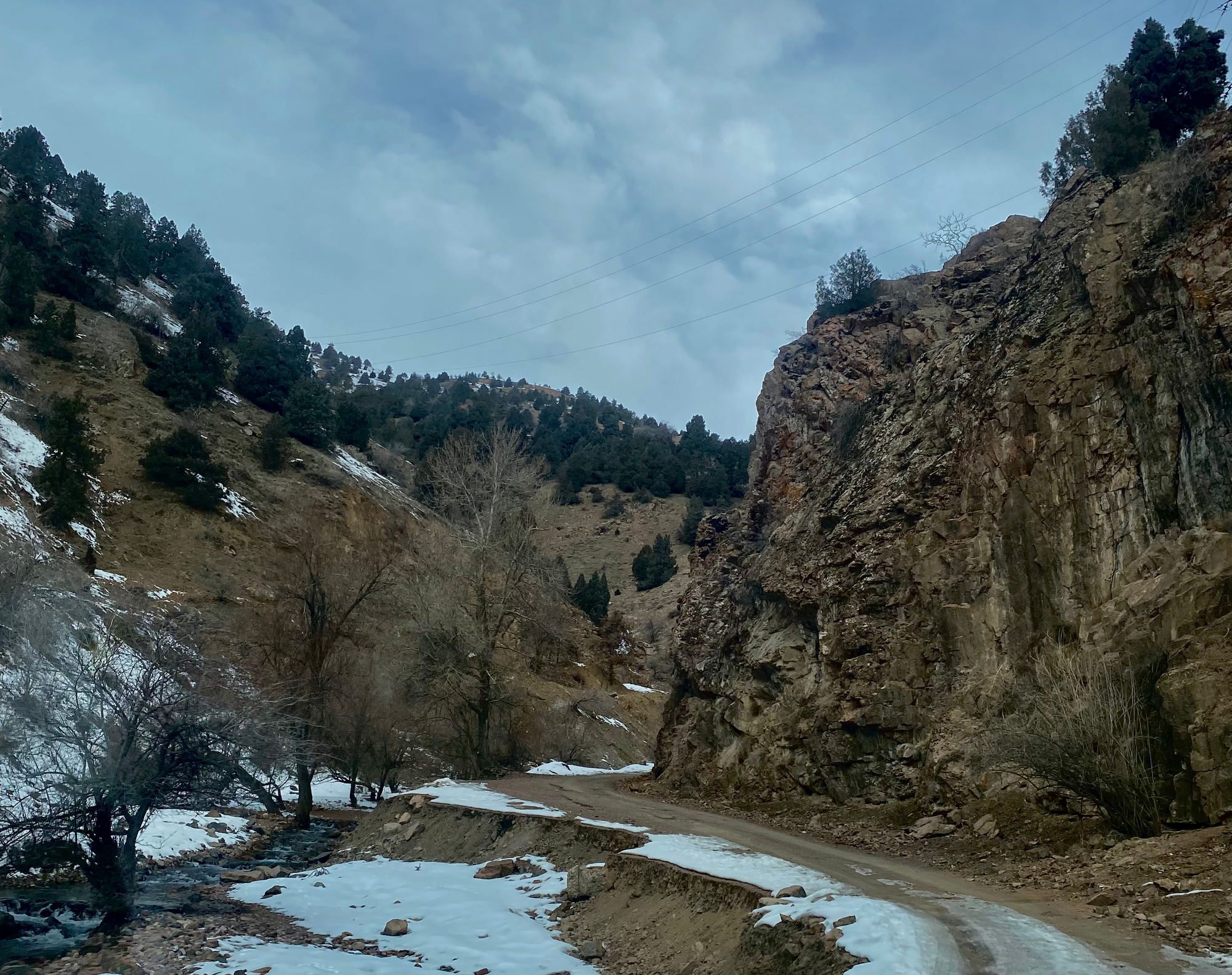 Foto: Muhsin Umurzoqov / “Xalq soʻzi”