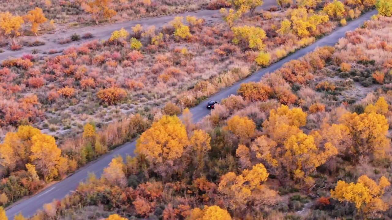 Когда пустыня отступает