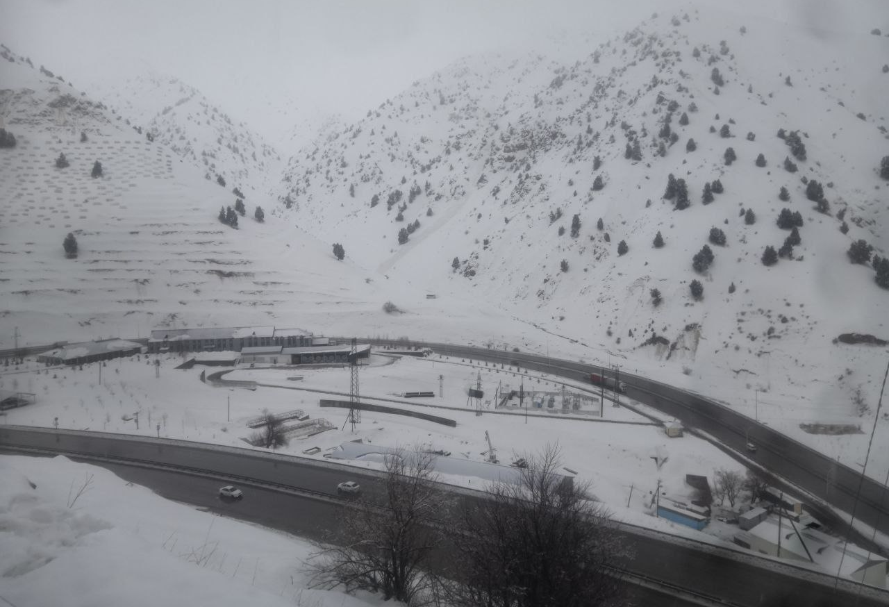 “Qamchiq” dovoni hududida 19 ta qor koʻchkisi aniqlandi