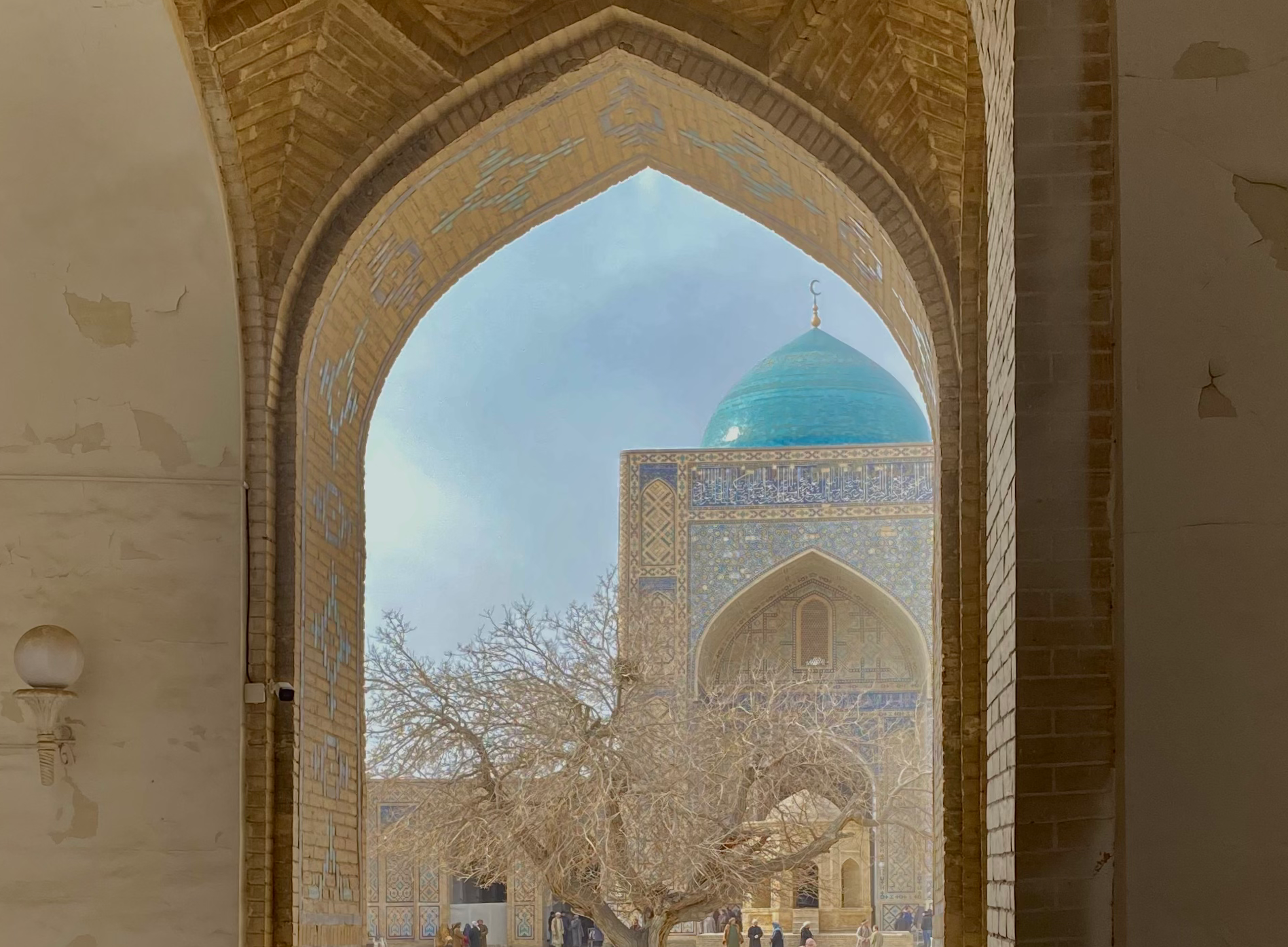 19-fevral kuni havo harorati 25 darajagacha koʻtariladi