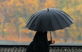 3-fevral kuni baʼzi joylarda yomgʻir yogʻadi