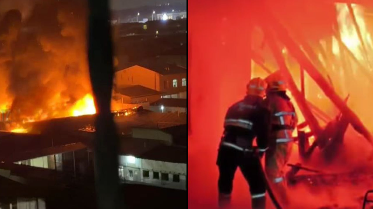 Toshkentda yuz bergan yongʻinda ayol va uning ikki farzandi halok boʻldi