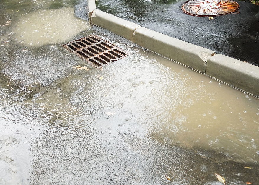 Bugun aksariyat hududlarda yomgʻir yogʻadi