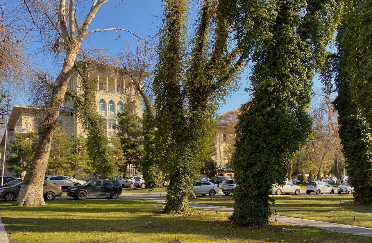 Bugun 16-fevral kuni qanday ob-havo kuzatiladi?