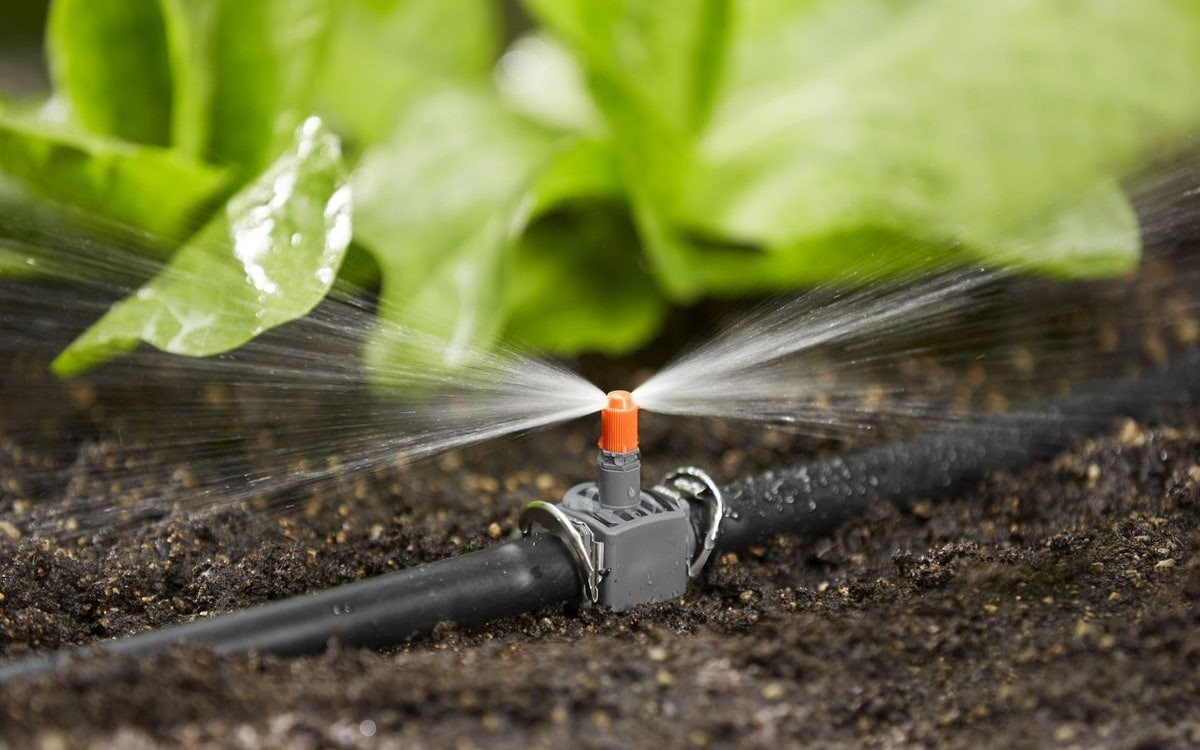 Suv resurslaridan foydalanish samaradorligi oshiriladi