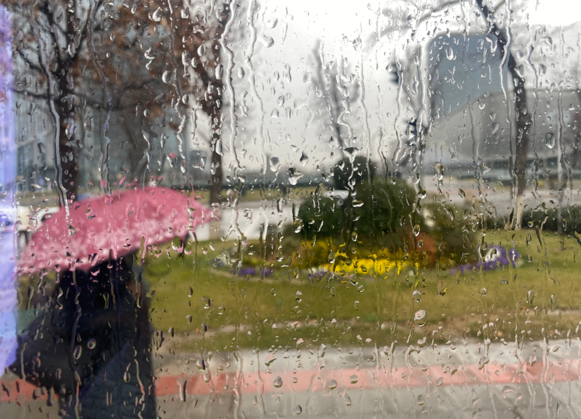 Bugun,20-fevral kuni baʼzi joylarda yomgʻir yogʻishi mumkin