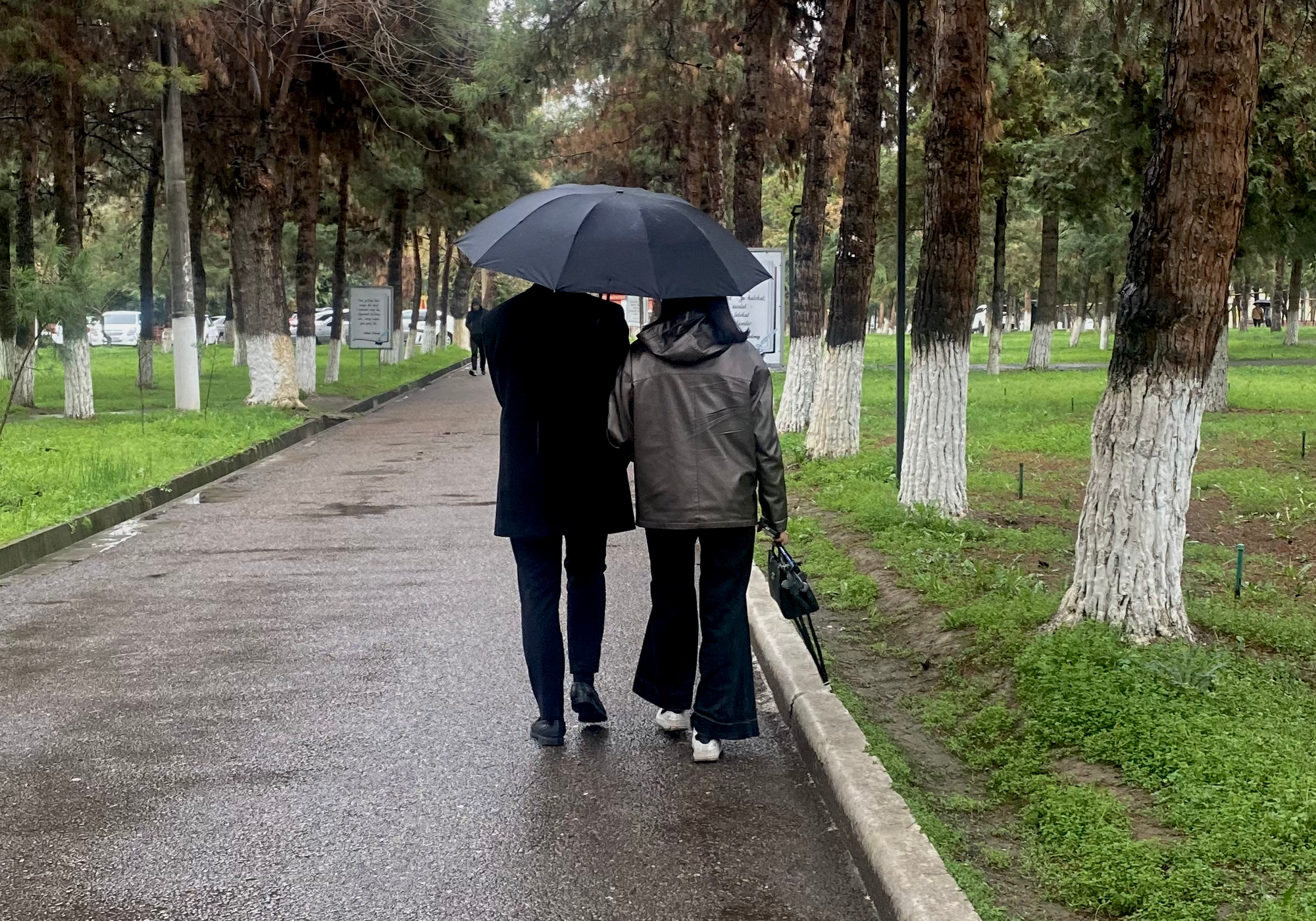 25-fevral kuni baʼzi hududlarda yomgʻir yogʻishi kutilmoqda