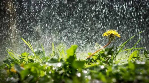 “Oʻzgidromet” tezkor ogohlantirish eʼlon qildi