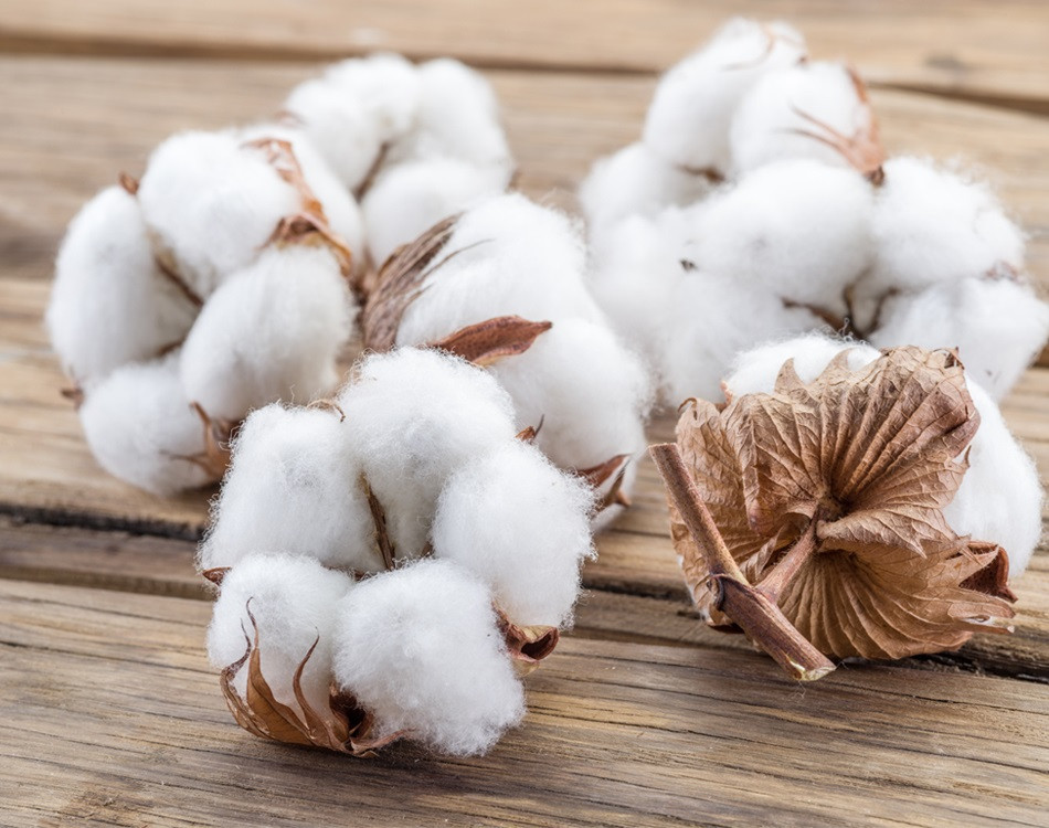 To‘qimachilik sanoatiga kirish