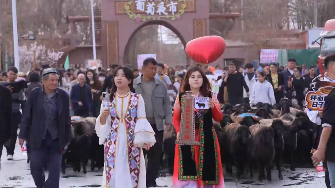 Необычный парад черных овец