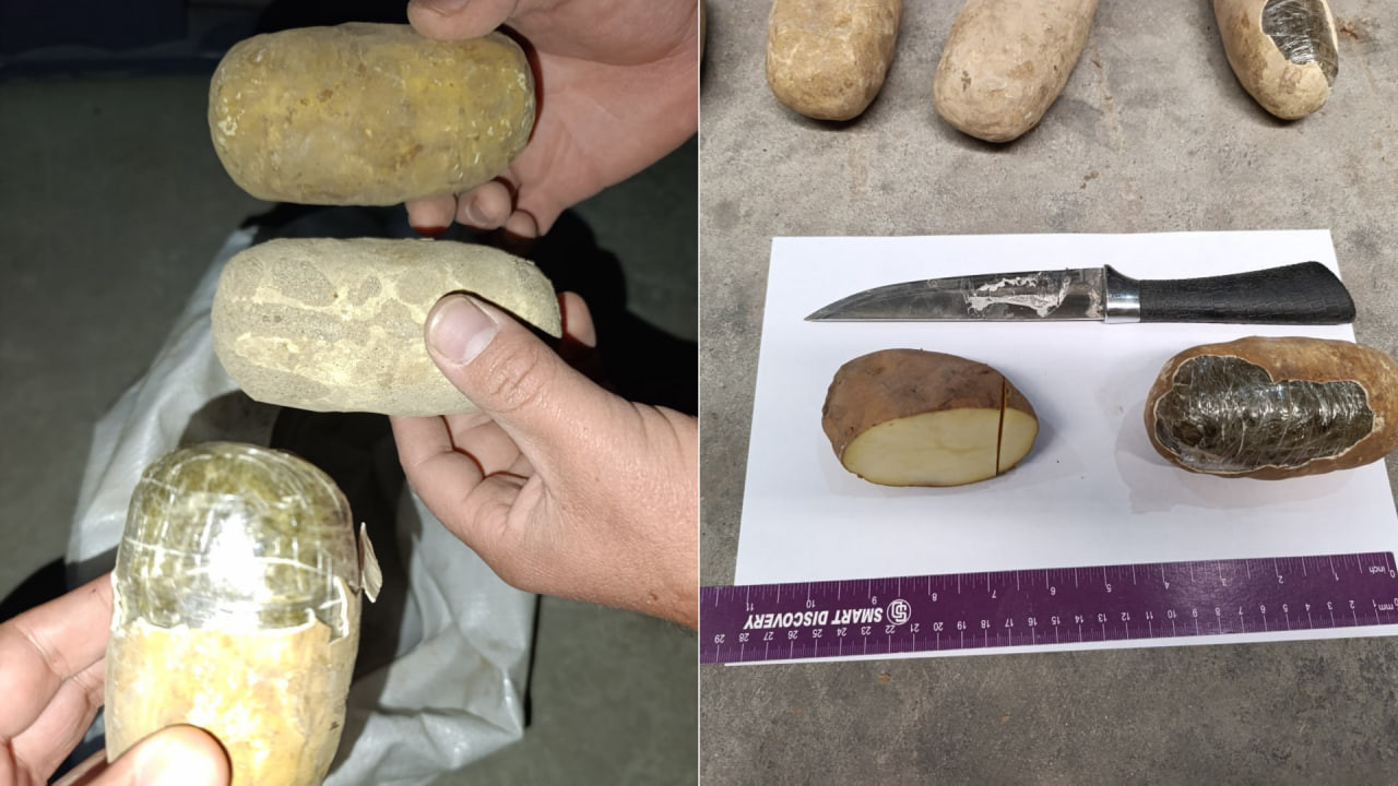 Termizda kartoshka koʻrinishidagi 72 kg “gashish” moddasi fosh qilindi