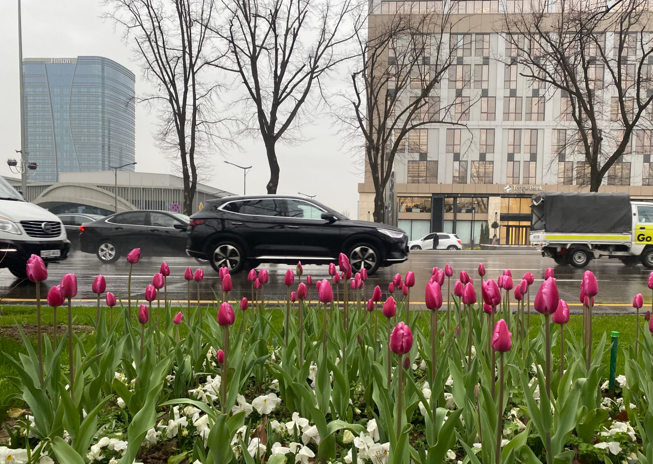 Bayram kunlarida yomgʻirli ob-havo boʻlishi kutilmoqda