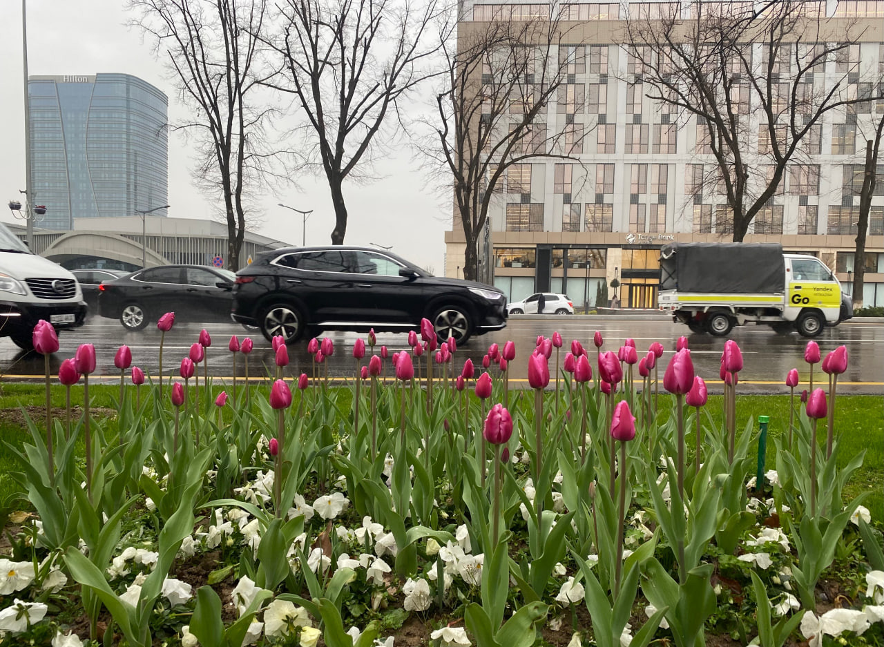 Hafta boshida baʼzi joylarda yomgʻir yogʻishi mumkin