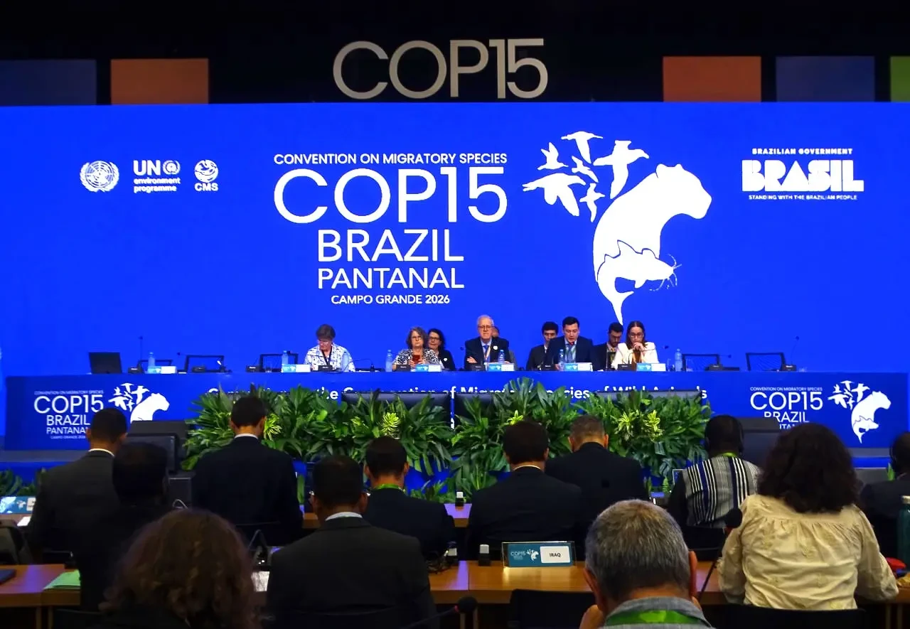 Узбекистан получил международное признание за вклад в защиту мигрирующих видов