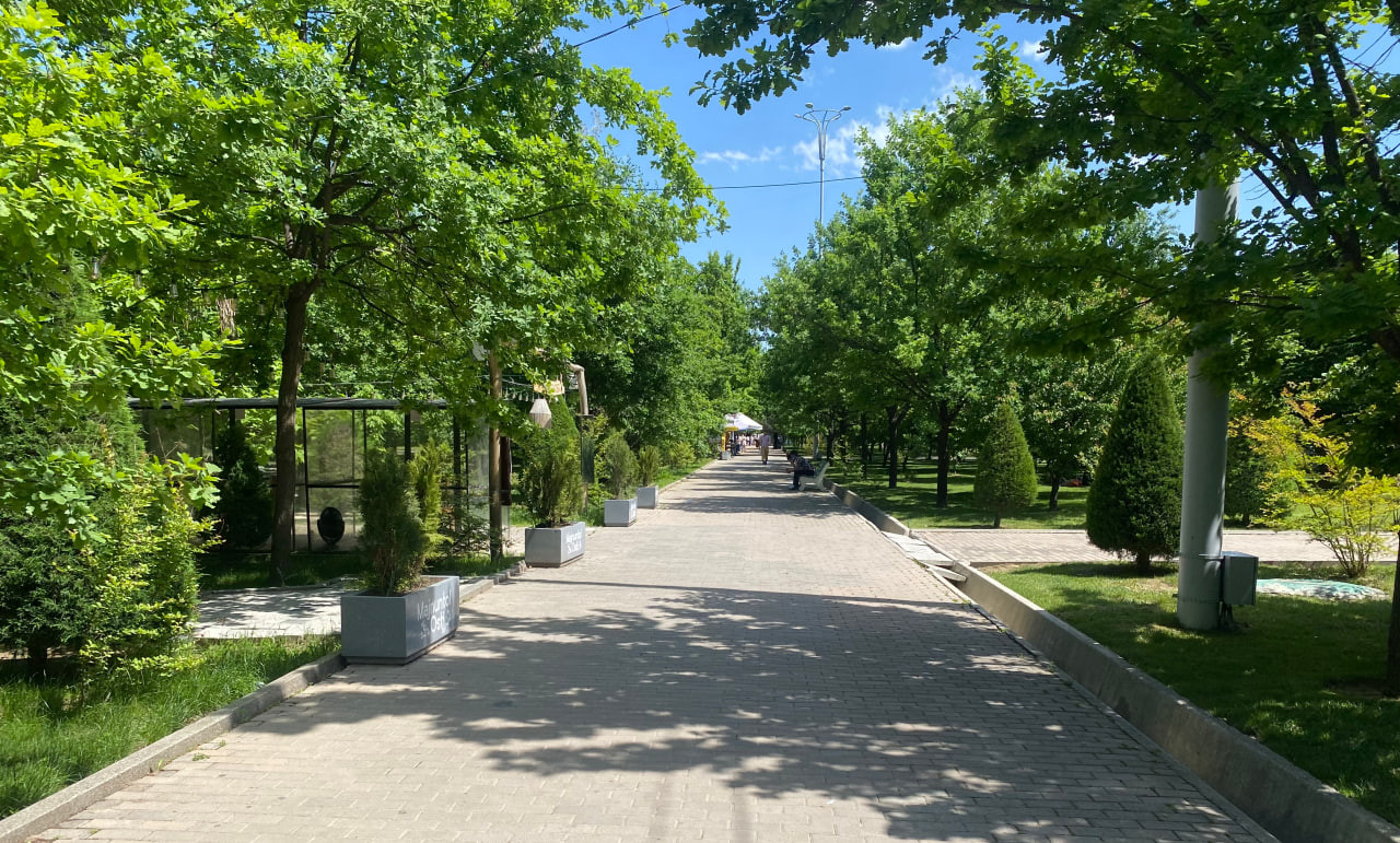 Hafta davomida harorat 33 darajagacha koʻtariladi