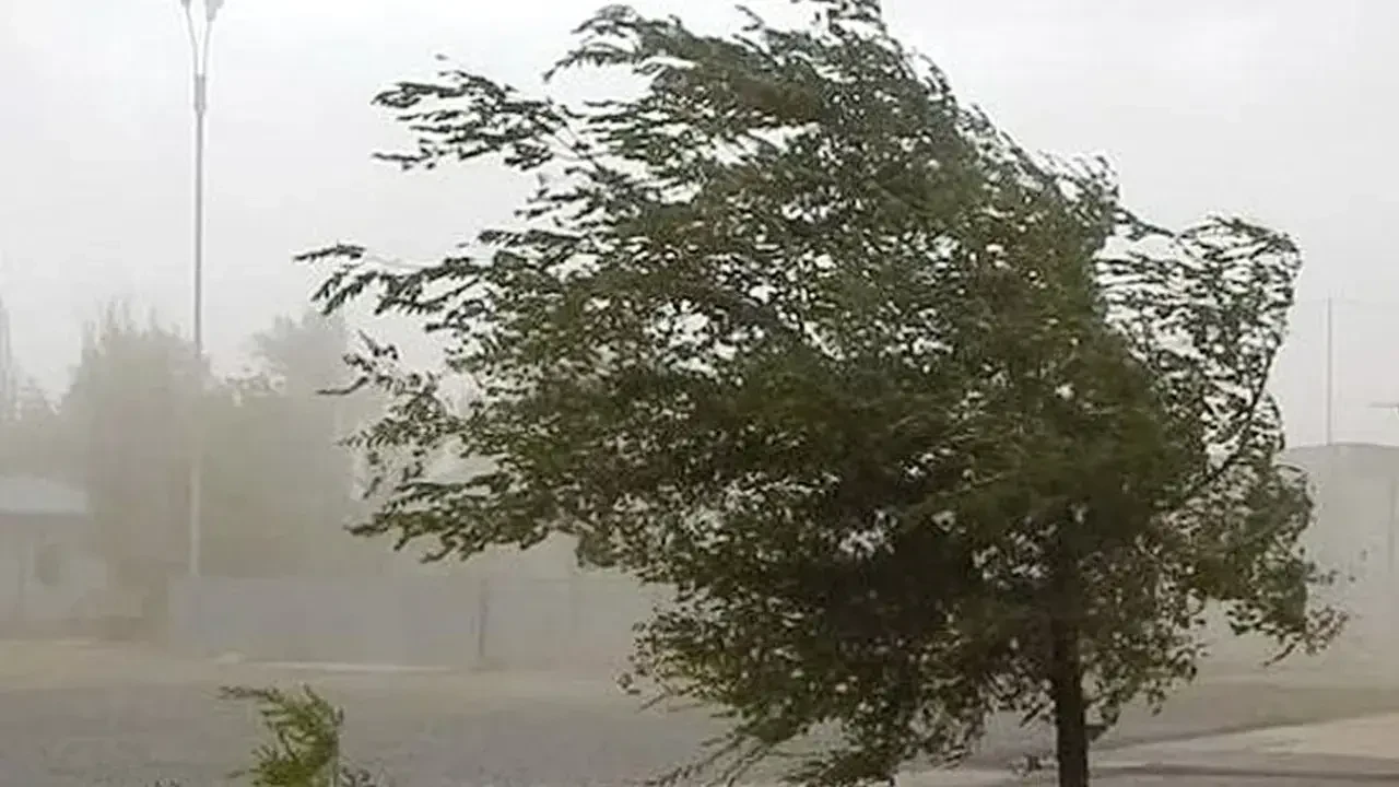 Shamol, yomg‘ir va tuman! 8 aprelda O‘zbekistonida qanday havo bo‘ladi?