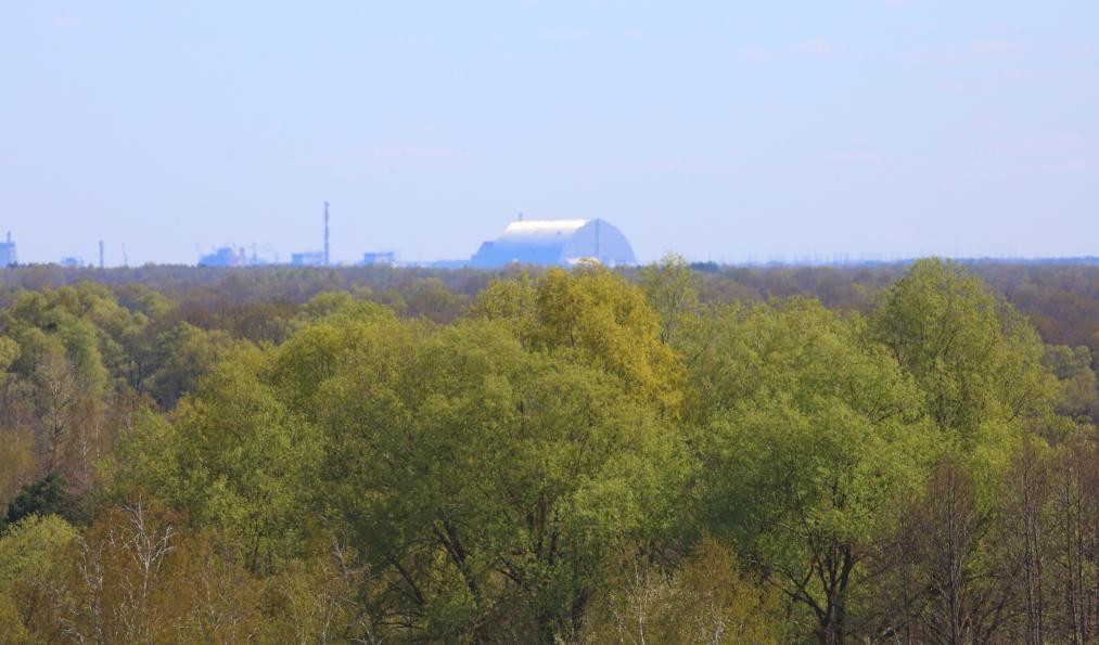 40 лет после аварии на Чернобыльской АЭС — возрождение зон радиоактивного загрязнения Беларуси
