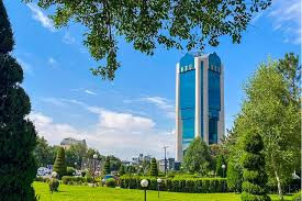 Oʻzbekiston Milliy banki foydasini 603 milliard soʻmga oshirdi