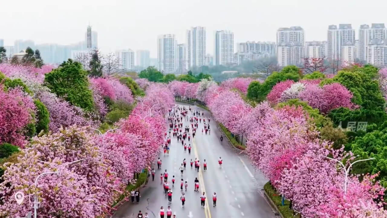 Lyuchjouda daryo bo‘ylab va gullagan xiyobonlar orasida marafon o‘tkazildi