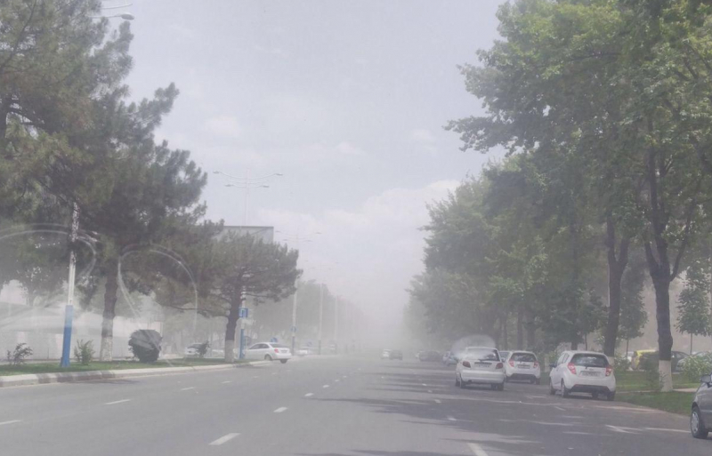 15-aprel kuni baʼzi joylarda chang-toʻzonlar kuzatilishi mumkin