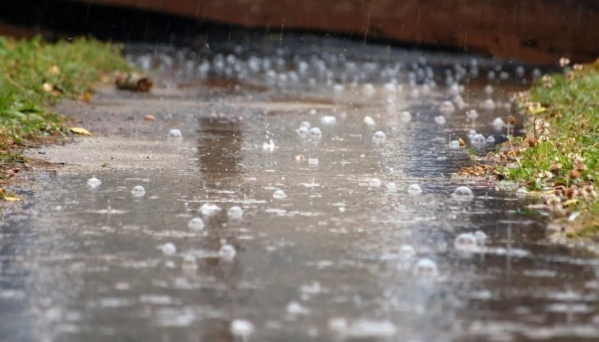 Oʻzbekistonning ayrim hududlarida 12-aprel kuni qisqa muddatli yomgʻir yogʻadi