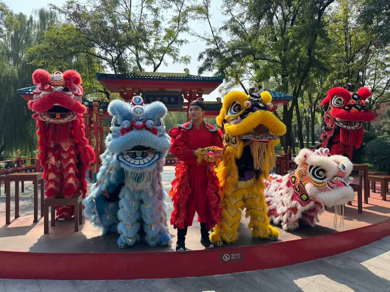 Когда лев танцует