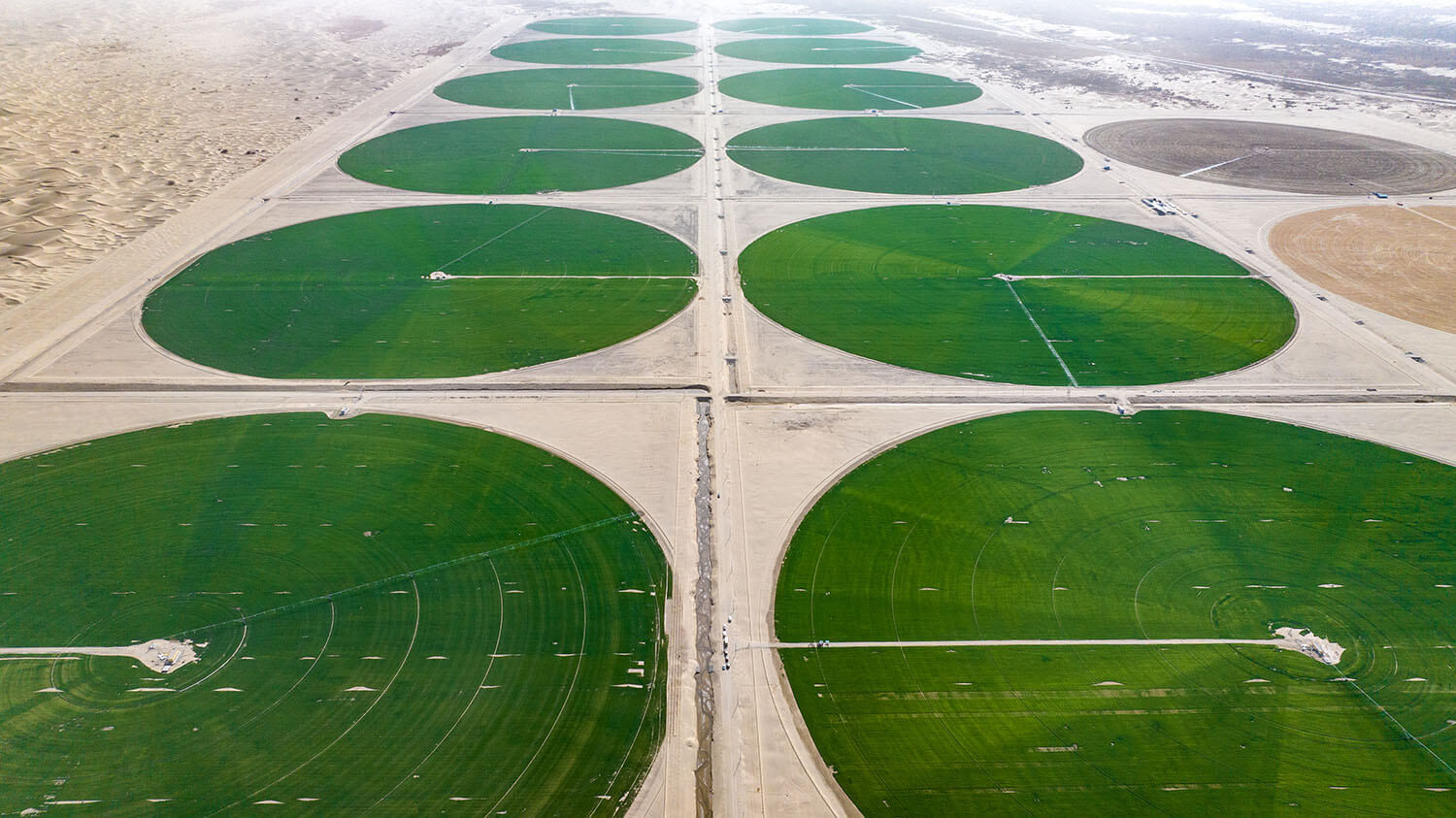 Cho'l chetidagi yashil hududlar