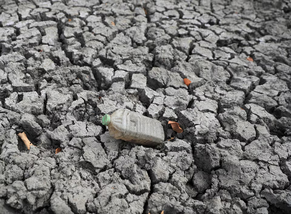 ООН предупредила о риске сильного Эль-Ниньо и новой волны климатических аномалий