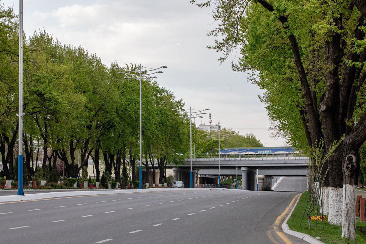 Во всех регионах Узбекистана пройдет «День без автомобиля»