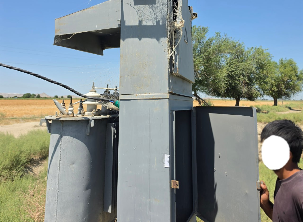 Jizzaxda 1,5 mlrd soʻmdan ortiq elektr energiyasini talon-toroj qilgan korxona aniqlandi