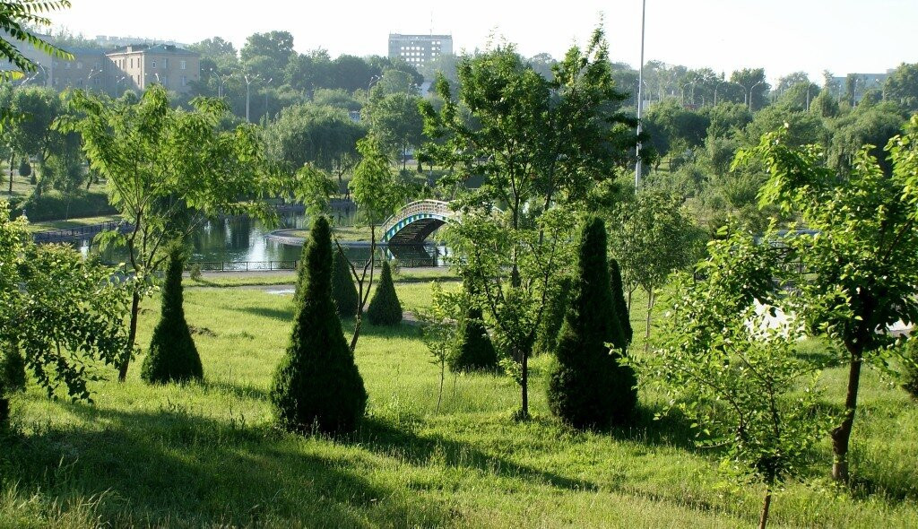 Oʻzbekistonda yashil bogʻlar va jamoat parklari sonini 1 023 taga yetkazish rejalashtirilmoqda