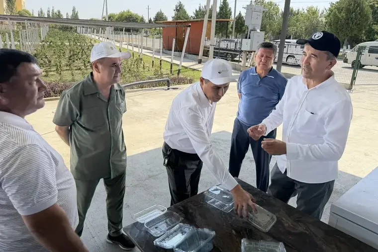 FAO Farg‘ona vodiysida fermerlar uchun uchta dala maktabini ochdi