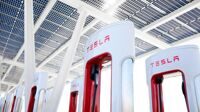 Радикальные активисты против завода Tesla